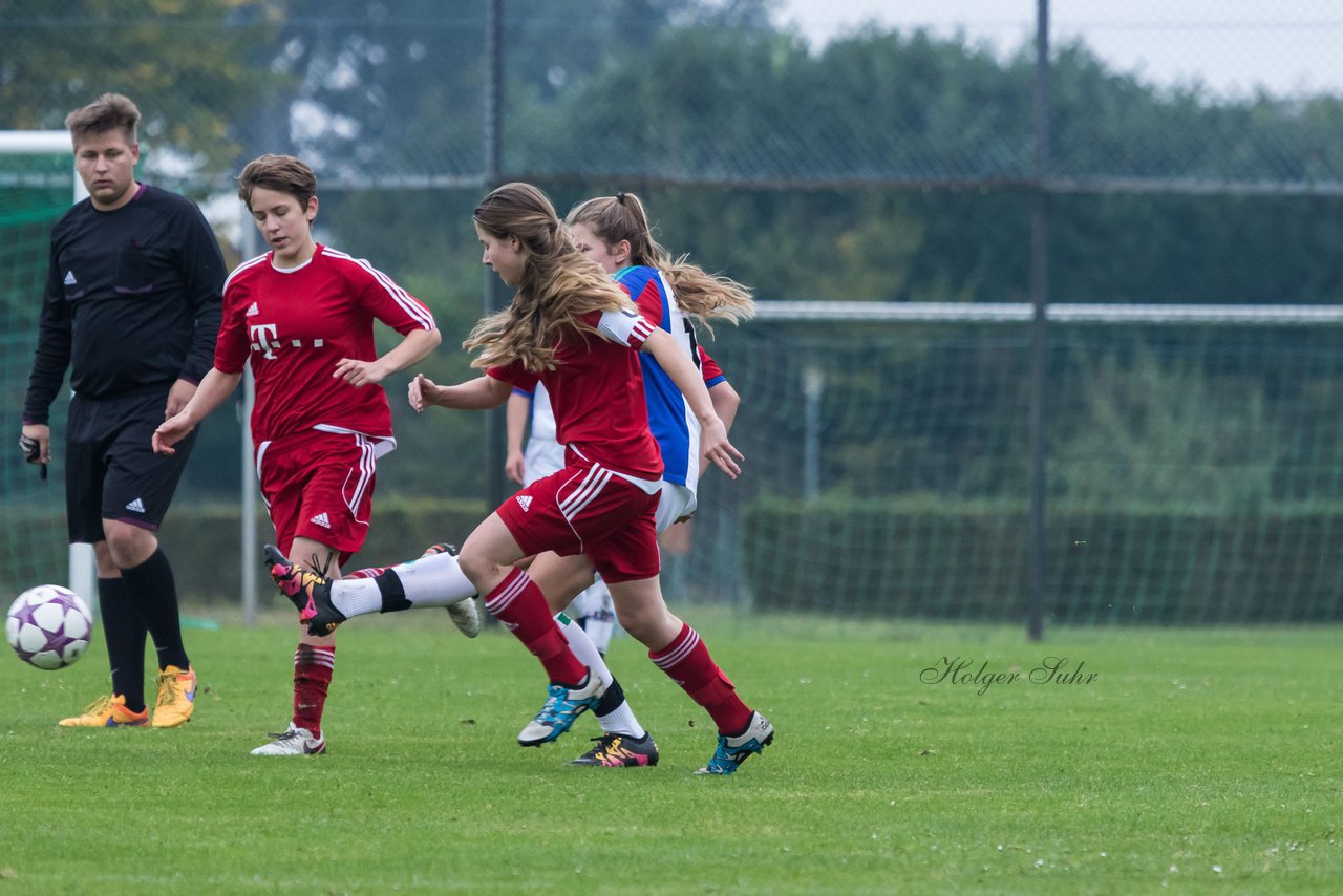 Bild 320 - B-Juniorinnen SV Henstedt Ulzburg - SV Wahlstedt : Ergebnis: 11:0